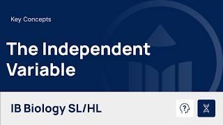 The Independent Variable video thumbnail