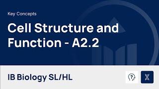 Cell Structure and Function video thumbnail