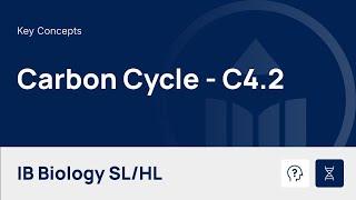 Carbon Cycle video thumbnail