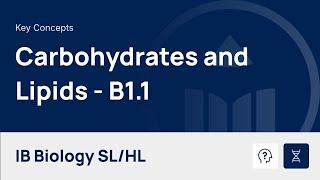 Carbohydrates and Lipids video thumbnail