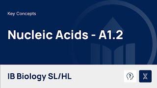 Nucleic Acids  video thumbnail