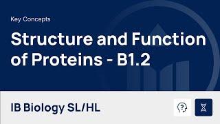 Structure and Function of Proteins video thumbnail