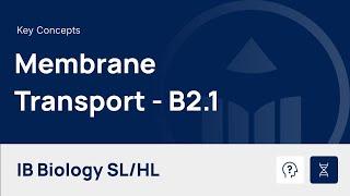 Membrane Transport video thumbnail