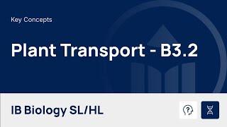 Plant Transport video thumbnail