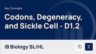 Codons, Degeneracy, and Sickle Cell video thumbnail