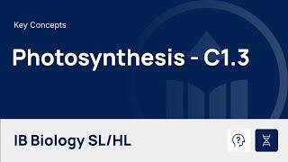 Photosynthesis video thumbnail