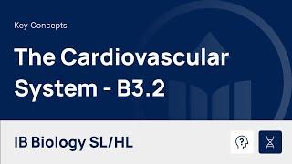 The Cardiovascular System video thumbnail