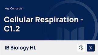 Cellular Respiration [HL] video thumbnail