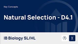 Natural Selection video thumbnail