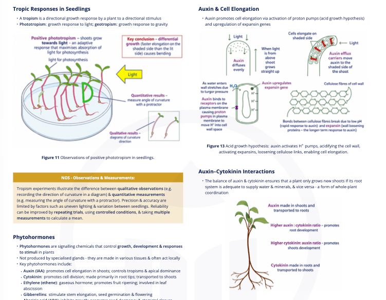 C3.1 - Integration of Body Systems