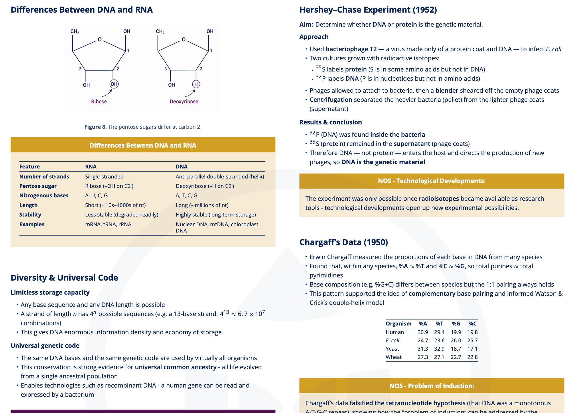 A1.2 - Nucleic Acids