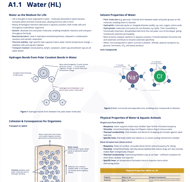 A1.1 - Water