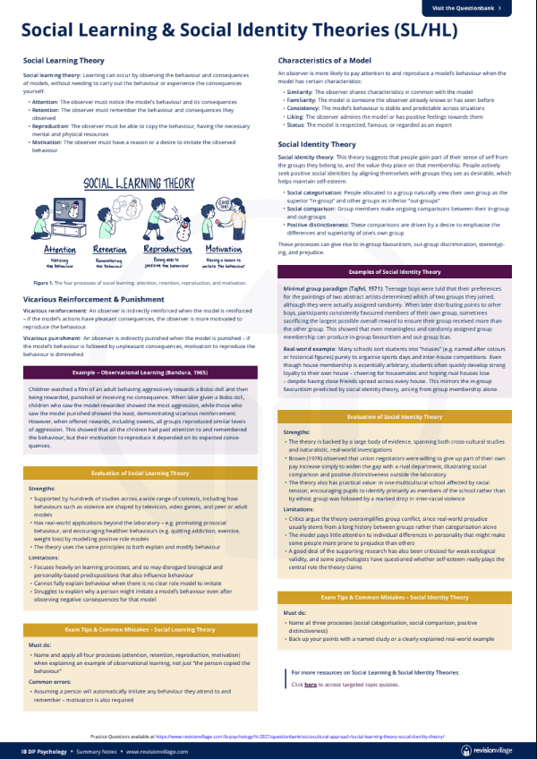 Social Learning & Social Identity Theories