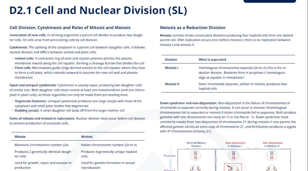 D2.1 - Cell and Nuclear Division