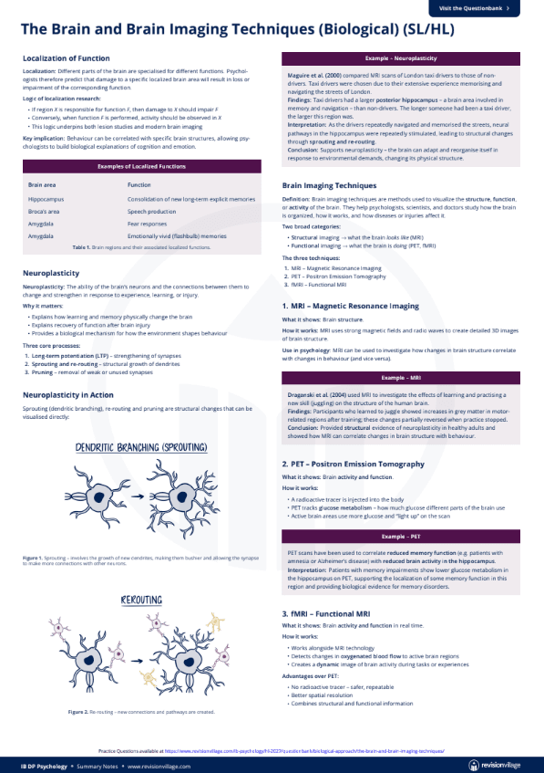 The Brain & Brain Imaging Techniques