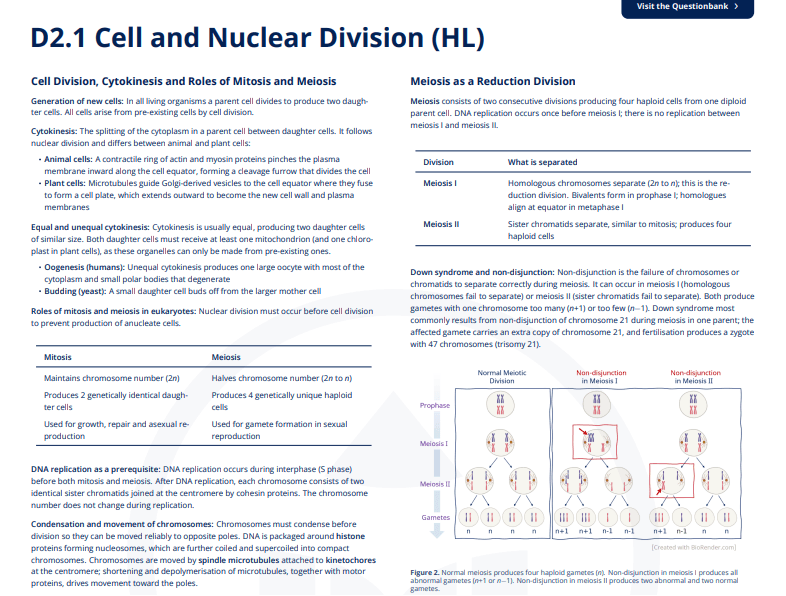 D2.1 - Cell and Nuclear Division