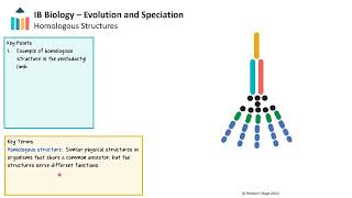 Evolution and Speciation video thumbnail