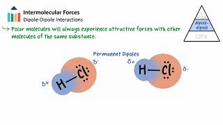 Intermolecular Forces video thumbnail