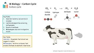 Carbon Cycle video thumbnail